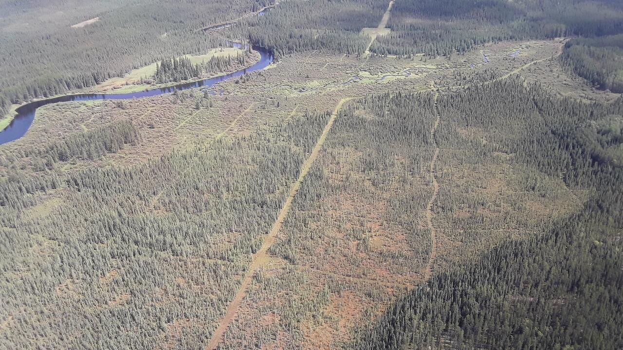 thin line of clear-cut in a wooded area seen from the sky