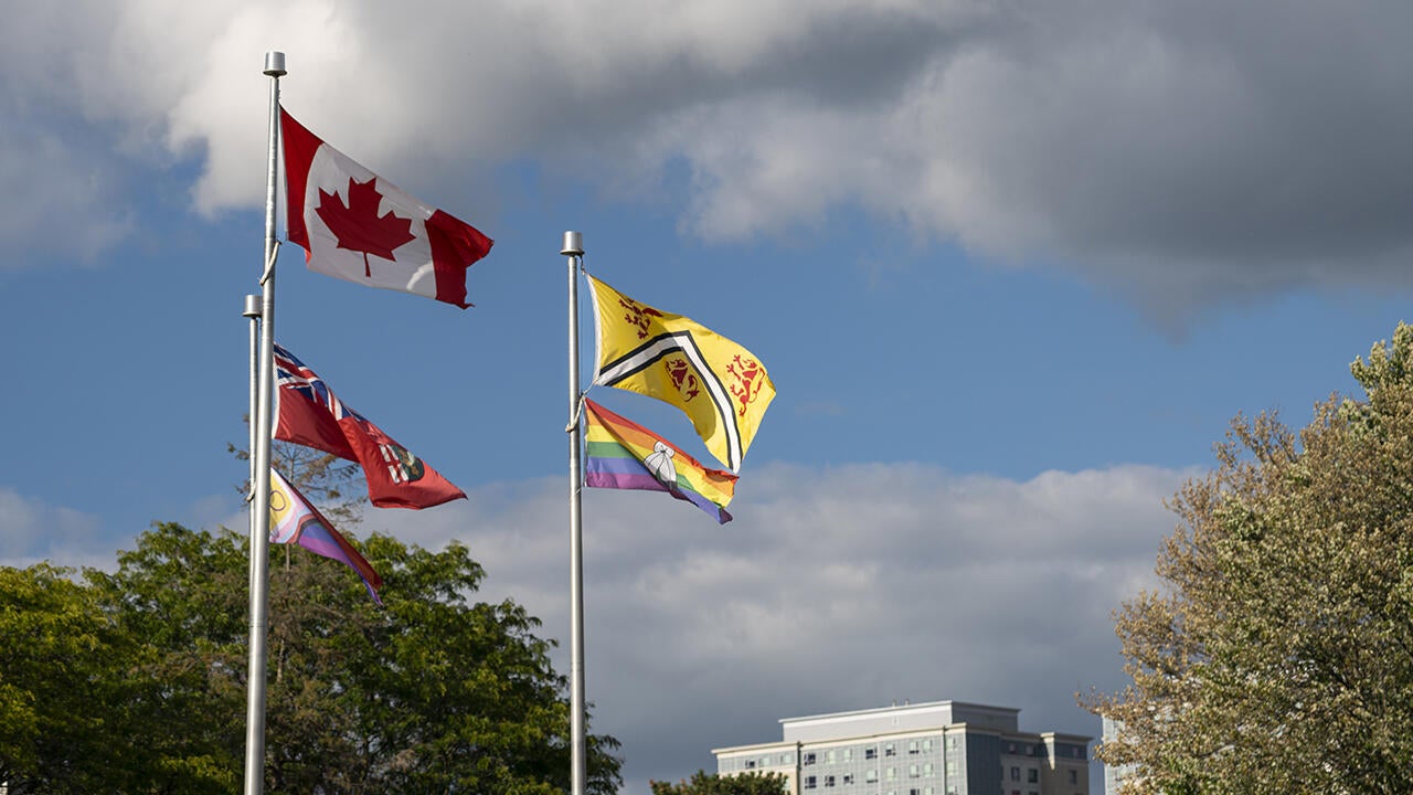 Flags at the University of Waterloo entrance