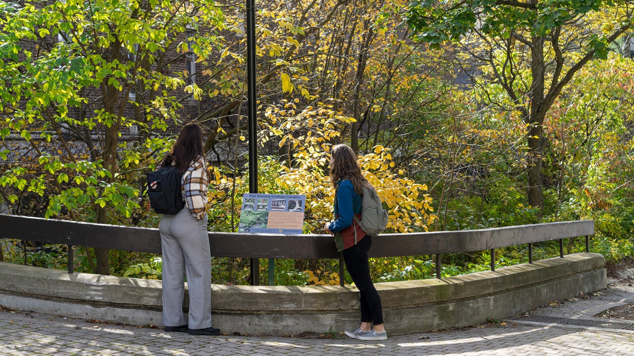 Two students surrounded by trees reading a plaque.  