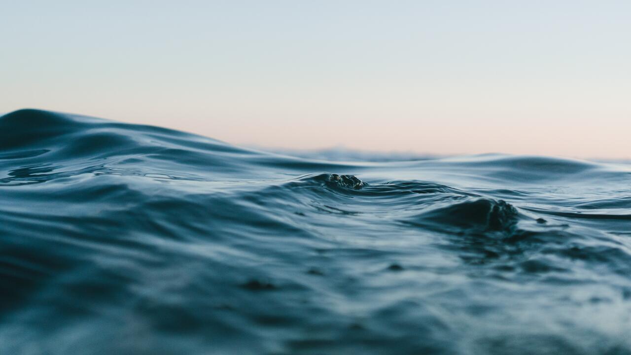 Sea