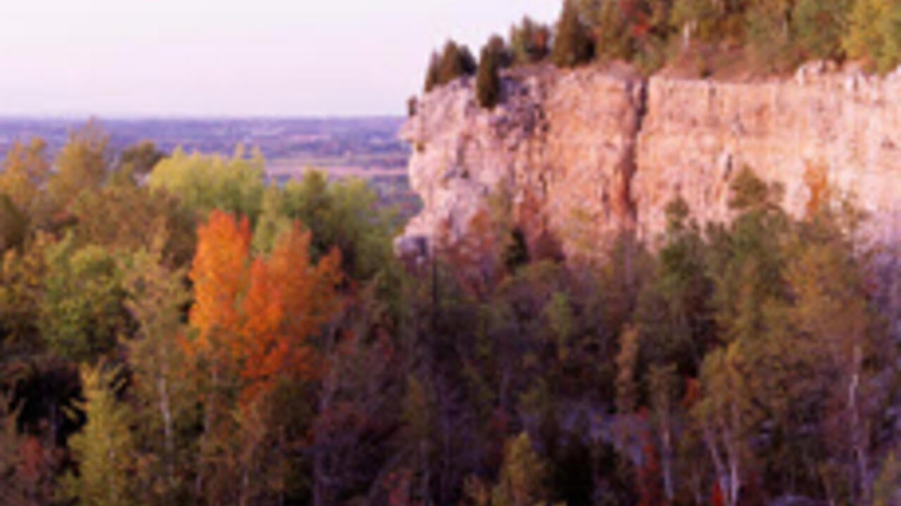 A lookout point shows autumnal trees and a sheer cliff.