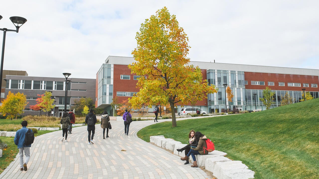 Toronto Waterloo Startup Ecosystem Rises In Global Rankings Waterloo   Campus Photoshoot 2018 2019 Click 20181207 0040 0 