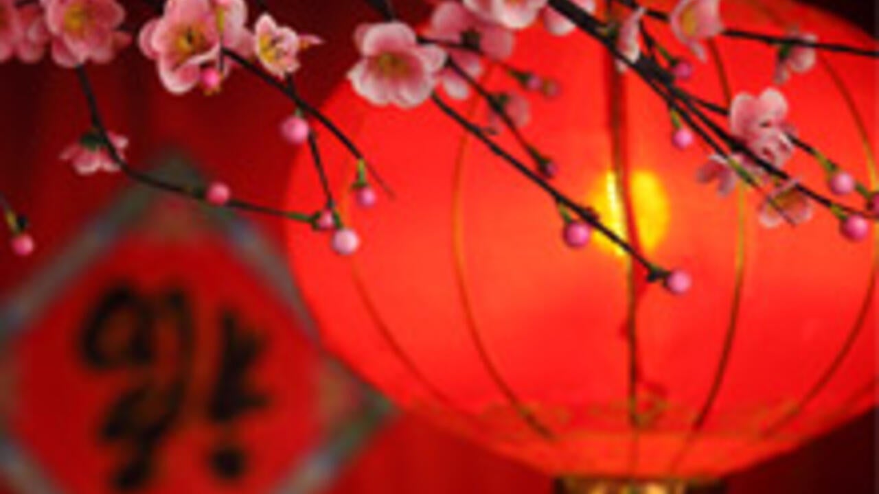 Chinese New Year decorative lantern