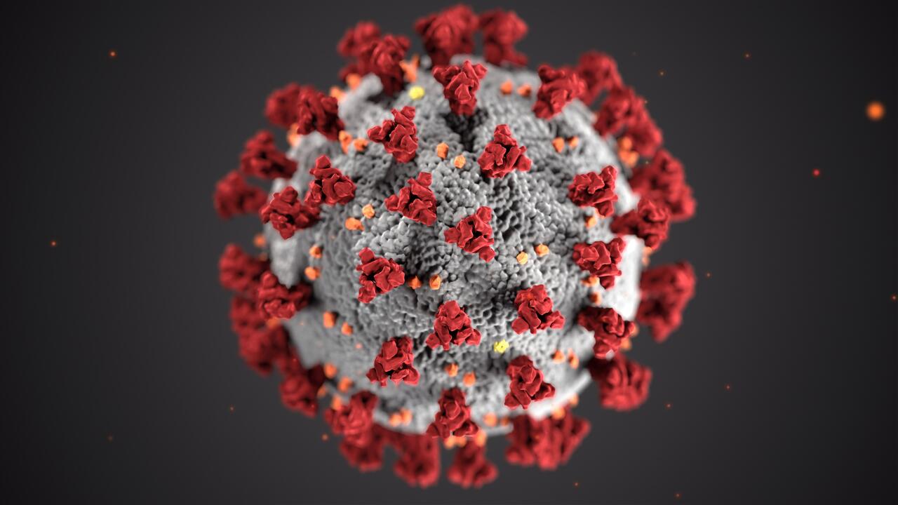 Magnified view of a coronavirus particle