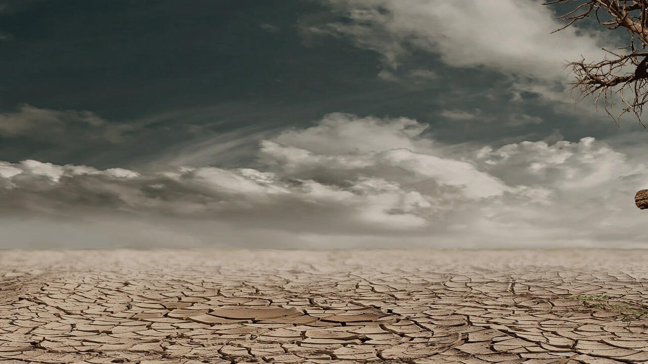 Landscape of desert drought with dehydrated clay soil and tree