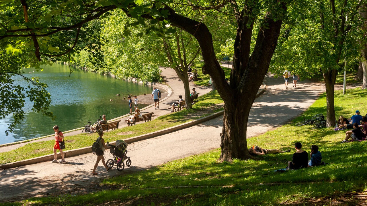 people walking through a park on a sunny day