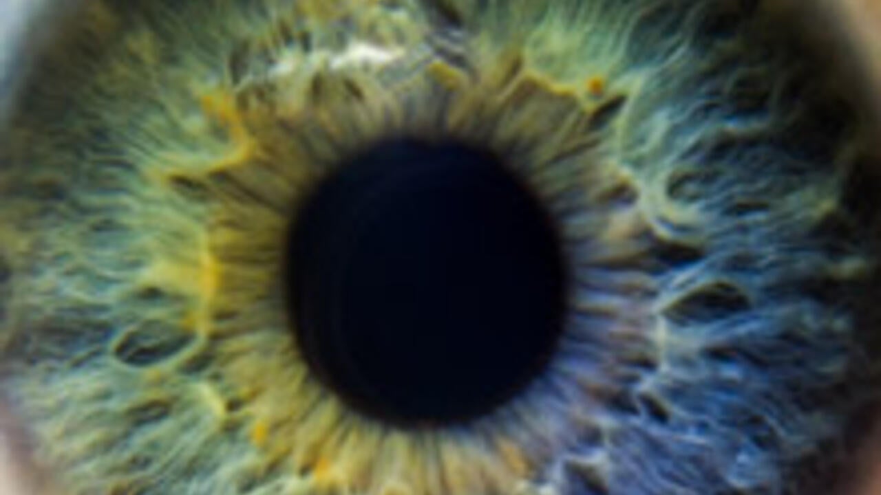 closeup of eye