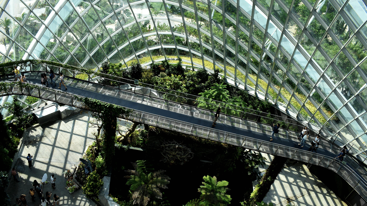 An interior shot of a building with an indoor garden and many windows