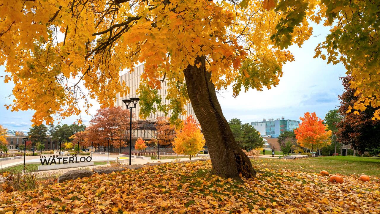 Leaves fall from a tree in front of Dana Porter Library