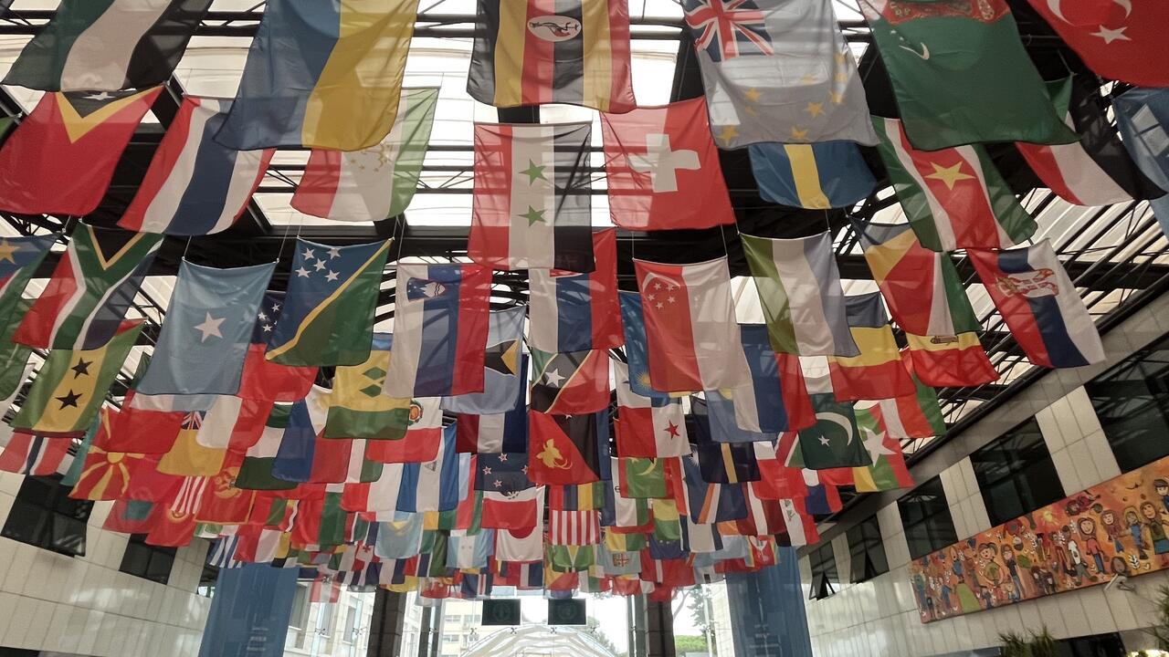 Ceiling of flags at FAO