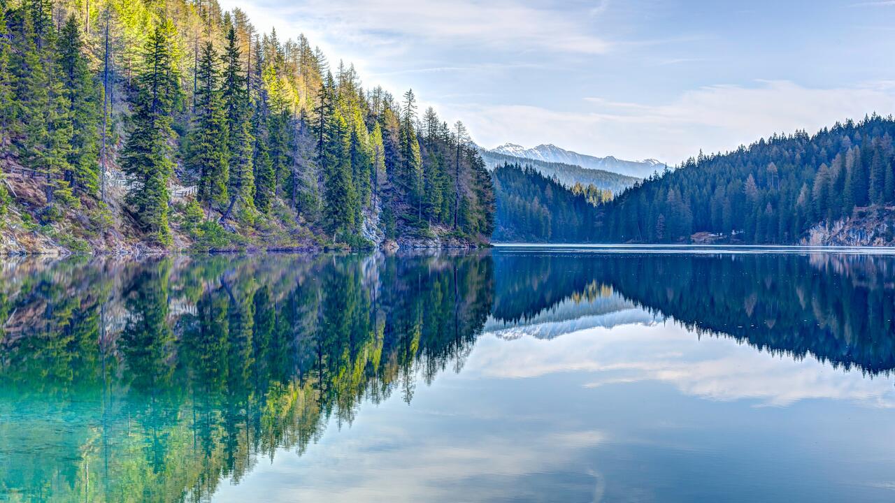 Photo of a forest and a lake.