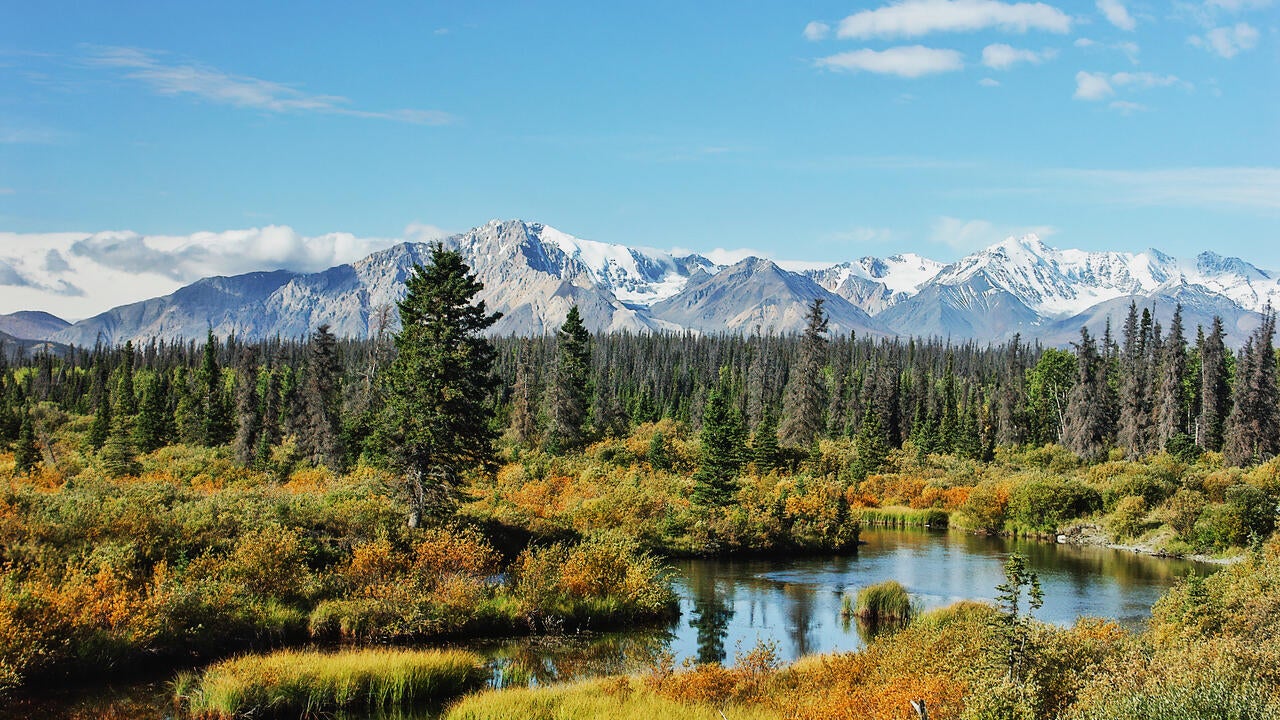 Scenery with marshland, pine trees and mountain range in Yukon in late summer.