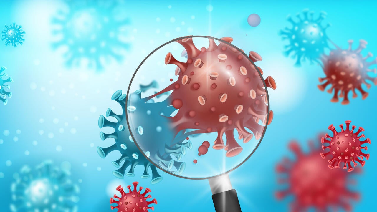 Coronavirus mutation vector background with COVID-19 molecules on blue under magnifier.