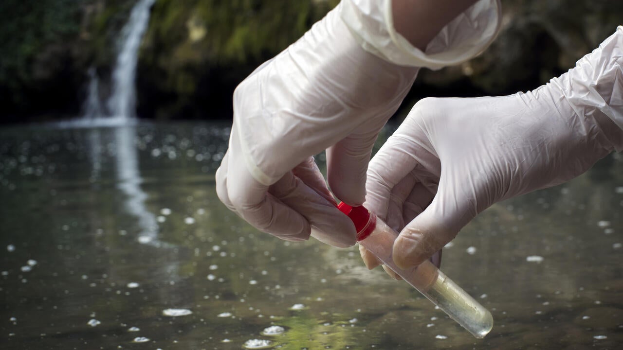 Scientist examing wastewater