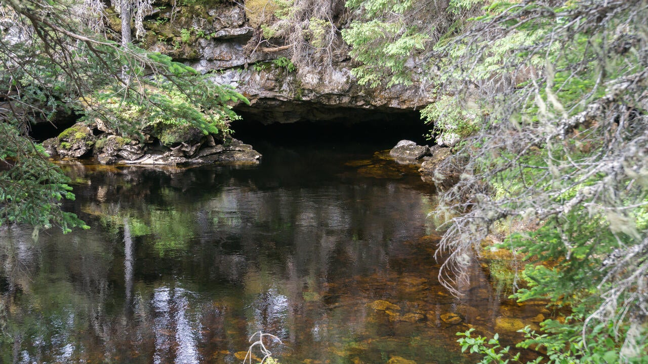 A salmon river emerging from an underground cave. 