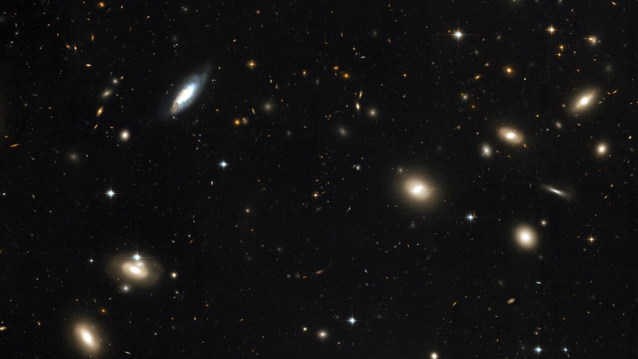 The Coma cluster of galaxies. 