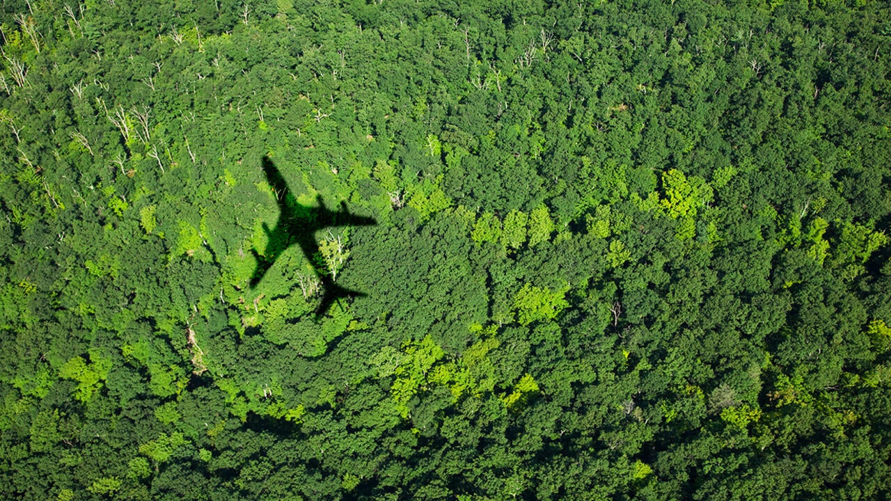 shadow of a plane flying over a forrest