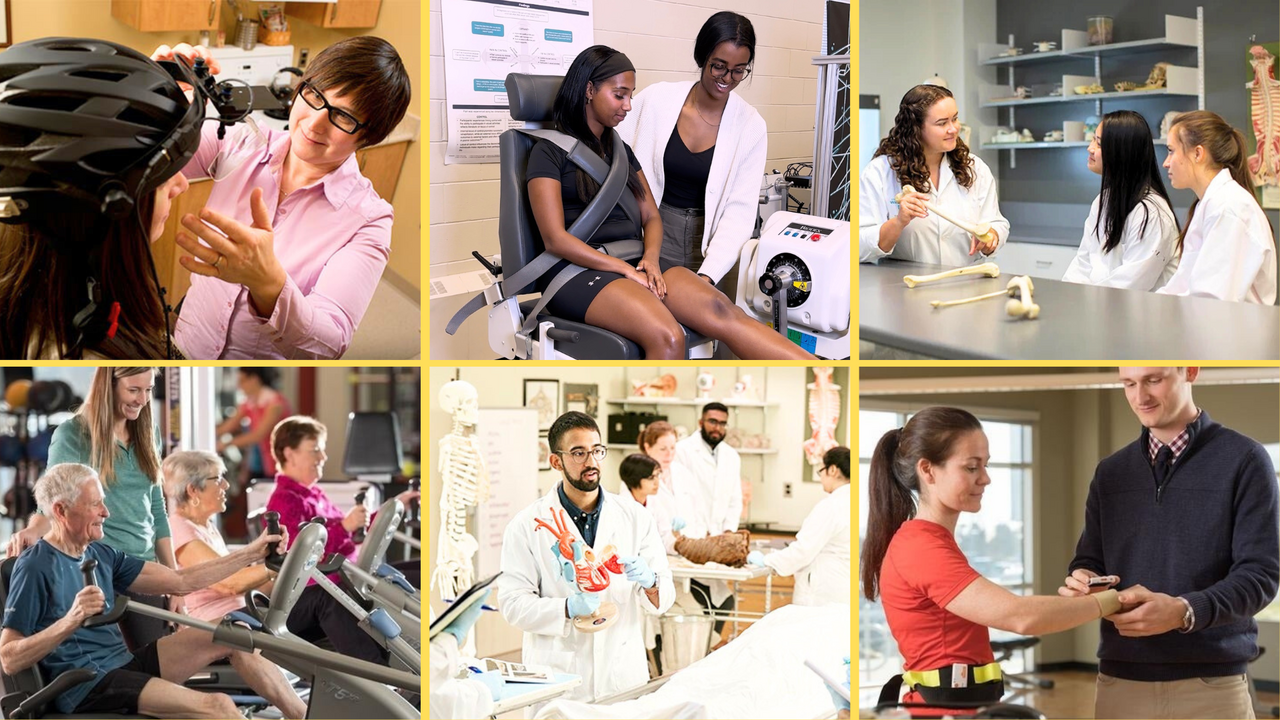 Collage of University of Waterloo students across health and wellness programs