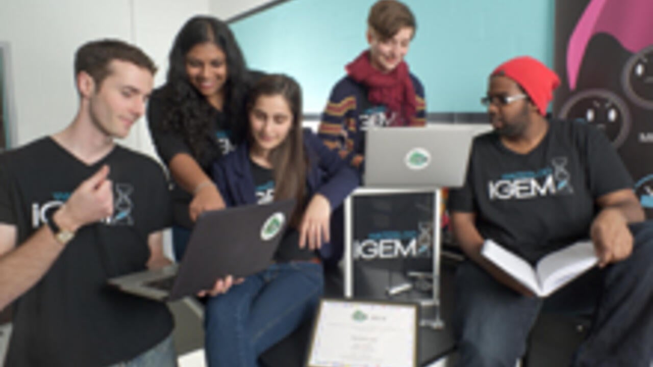 members of the iGem team