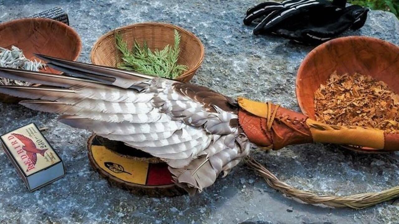 Indigenous ceremonial items including tobacco, cedar bows and eagle feather