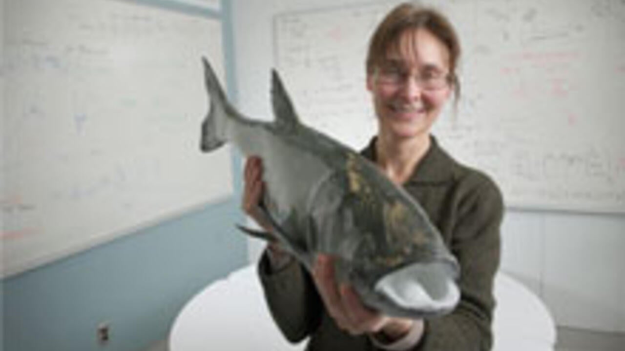 Kim  Cuddington holds an Asian carp