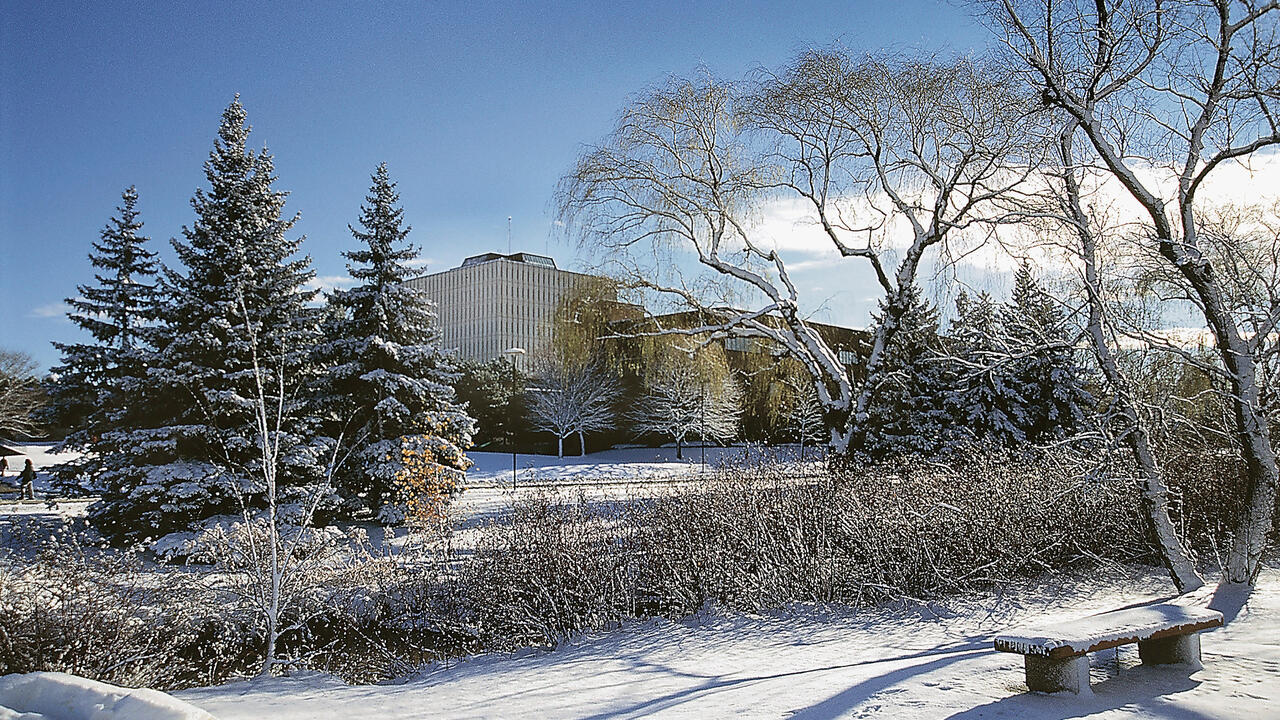 A view of Dana Porter Library across frozen Laurel Creek