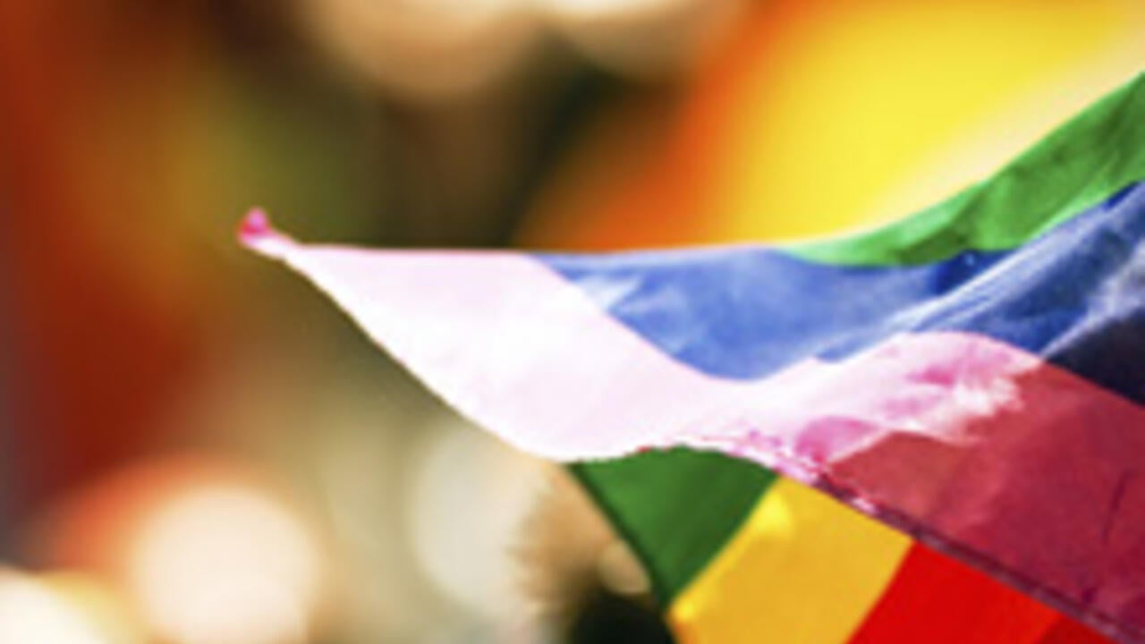 Lesbian, gay, bisexual and transgender pride flag