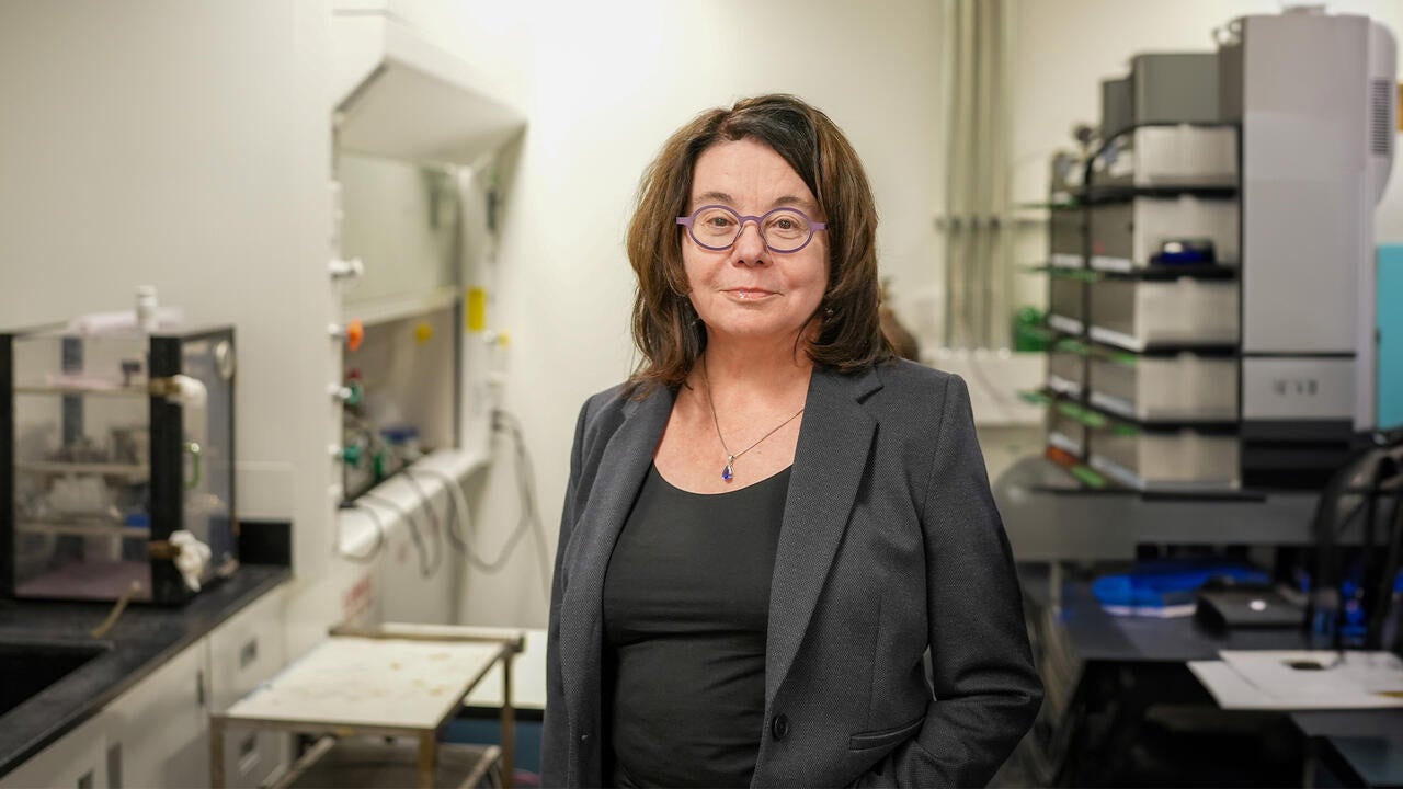 Linda Nazar in her lab