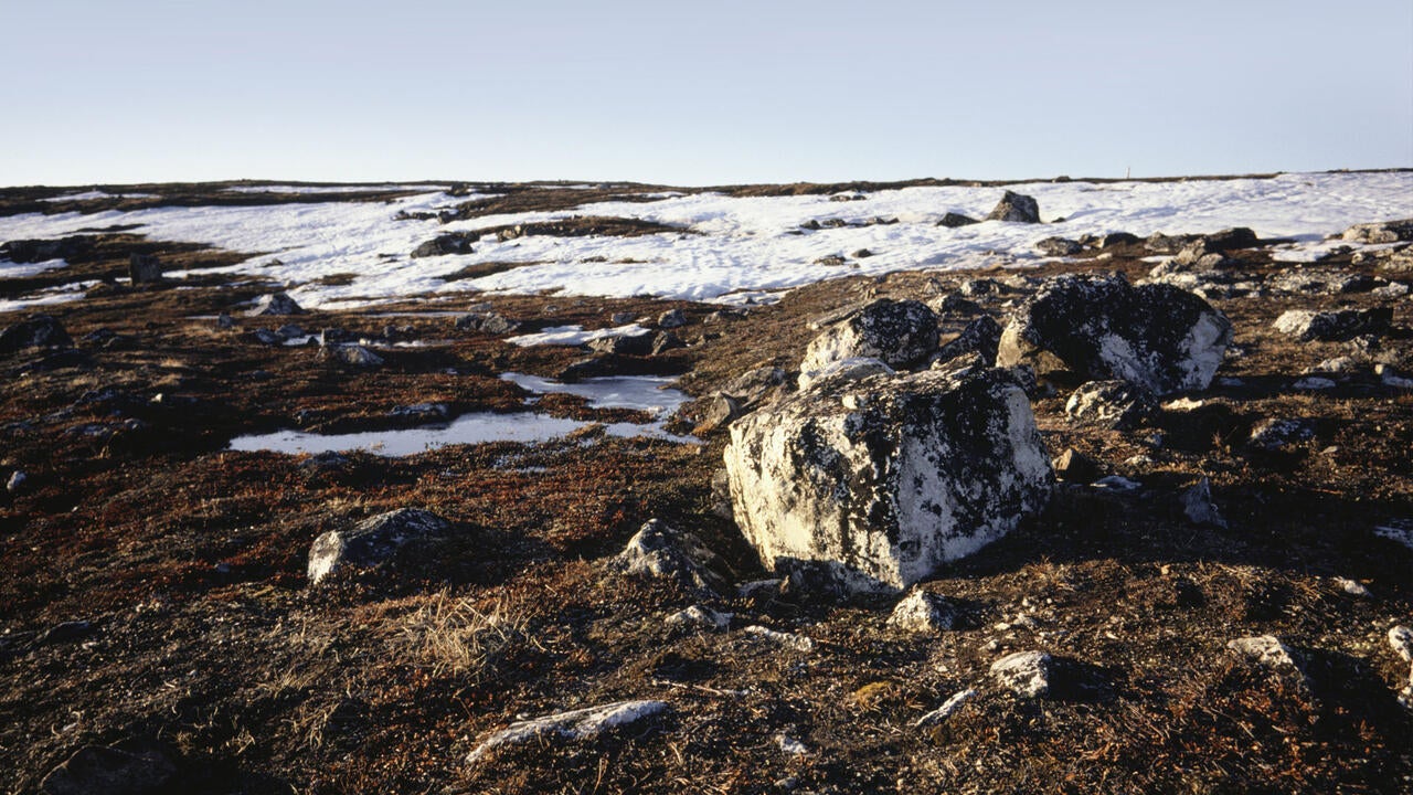 A barren high Arctic landscape dotted with rocks, brush and snow