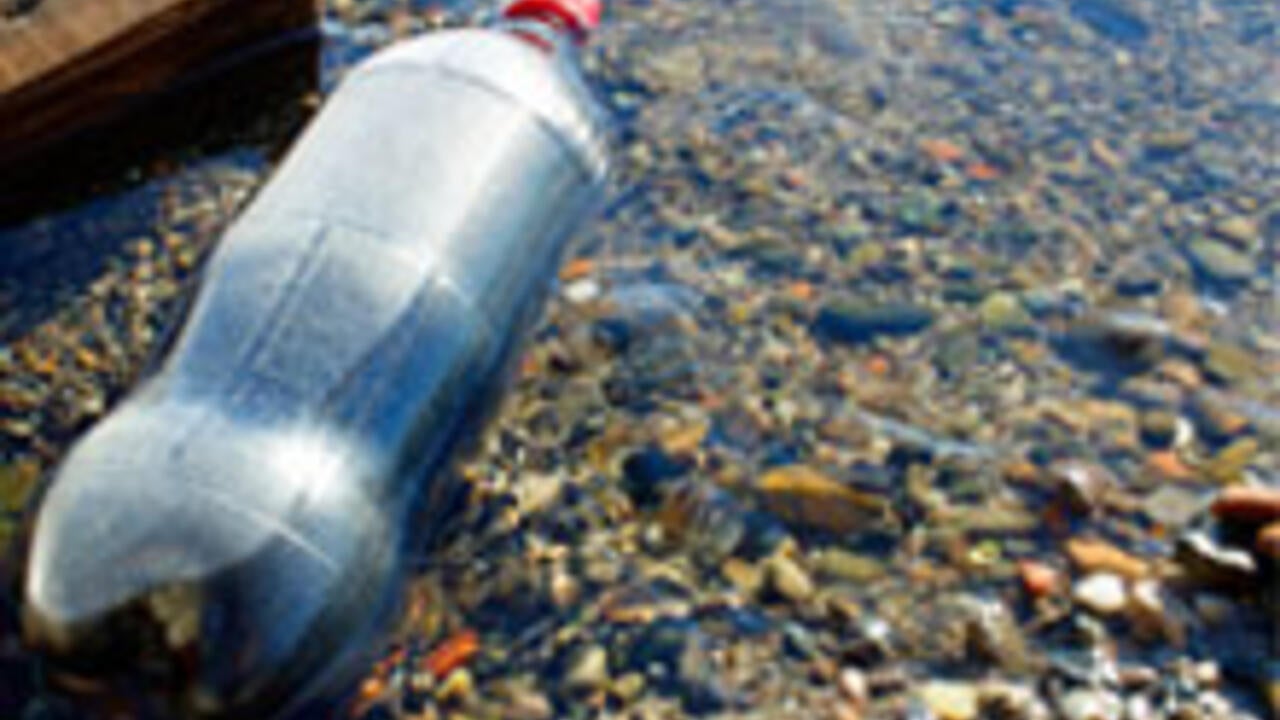 Litter in fresh water lake