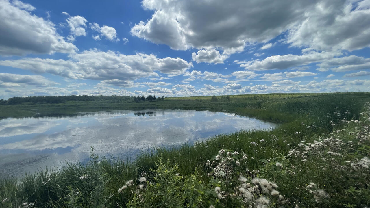 Small wetland