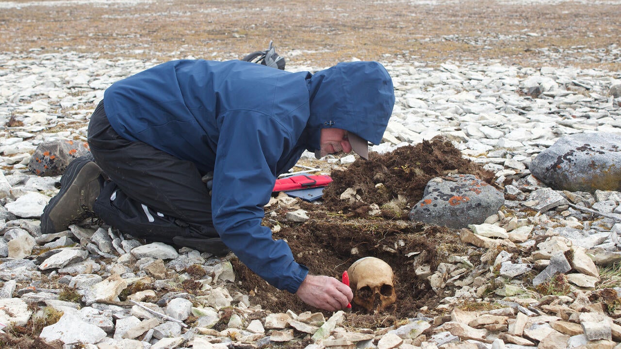 Man excavating a human skull from the ground