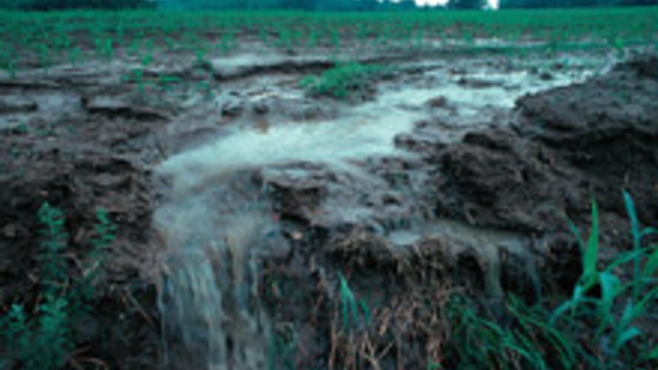 Runoff containing nitrogen fertilizer in a field