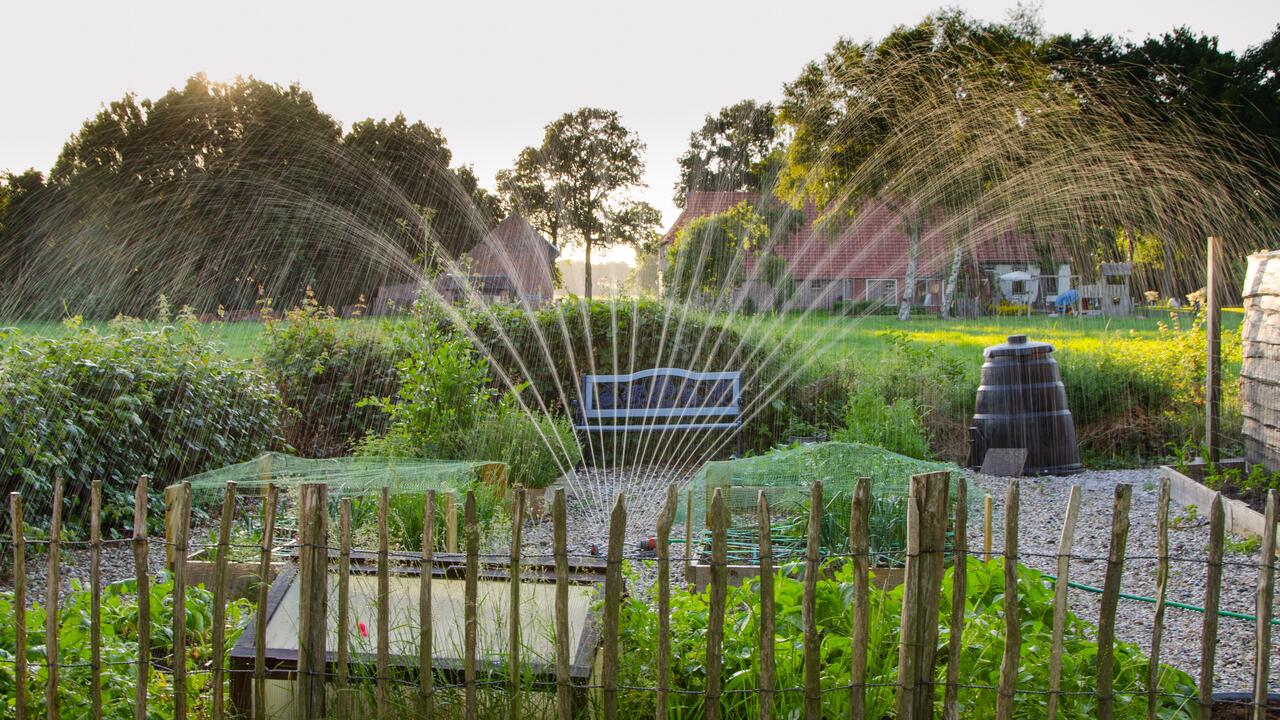 Sprinkler watering a garden
