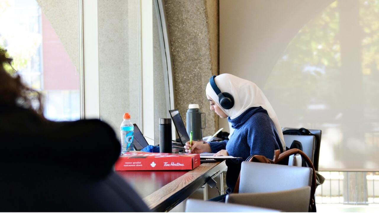 A student studying by the window in Dana Porter Library