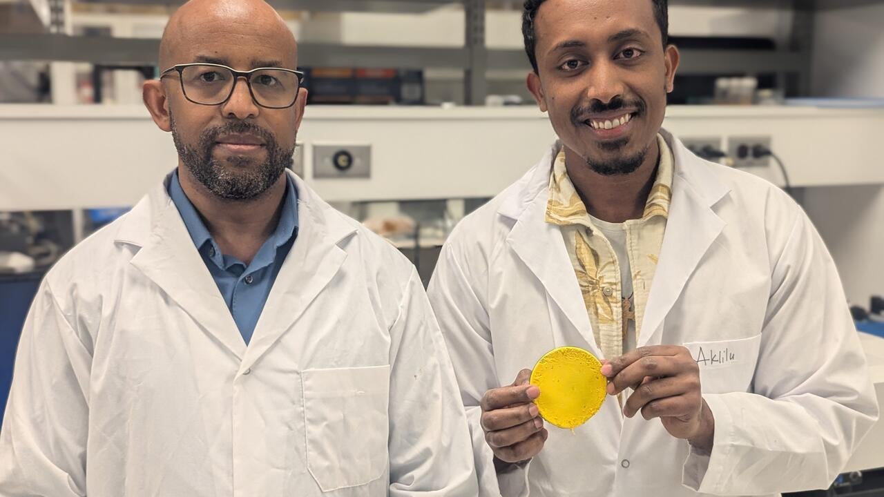 Dr.Tizazu Mekonnen (left) and PhD student Aklilu G. Messele holding the flexible polymer material developed to replace the lead.