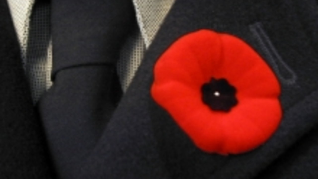 Red poppy on black lapel - photo by Flickr user striatic: http://www.flickr.com/photos/striatic/1402612/