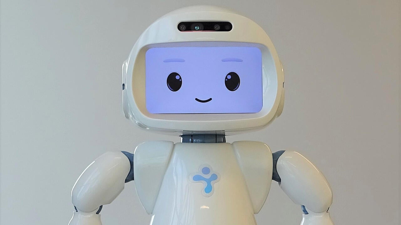 Small humanoid robot called QT