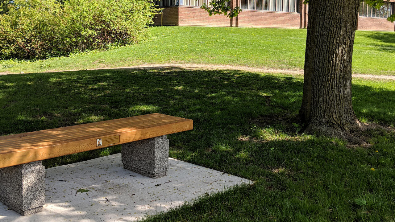 The Soltani bench outside Needles Hall