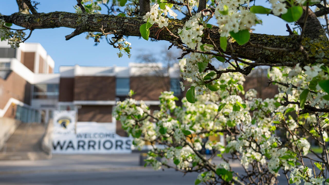 Warrior mural on display beyond some foliage