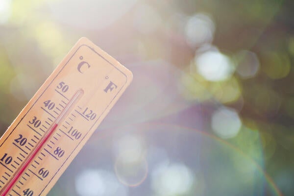 Thermoeter shows over 30-degrees celicus in front of foliage with sun flares
