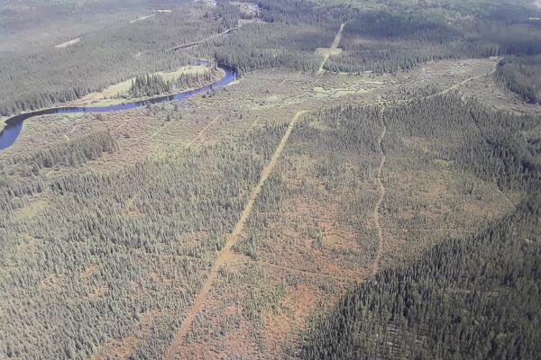 thin line of clear-cut in a wooded area seen from the sky