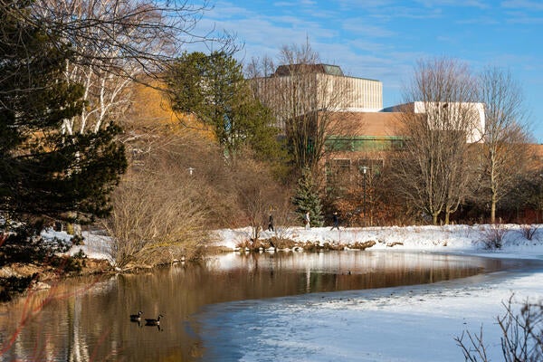 Laurel Creek on campus with geese floating on ice water