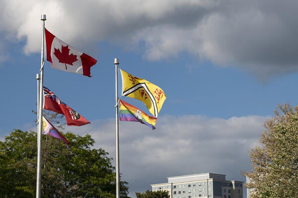 Flags at the University of Waterloo entrance