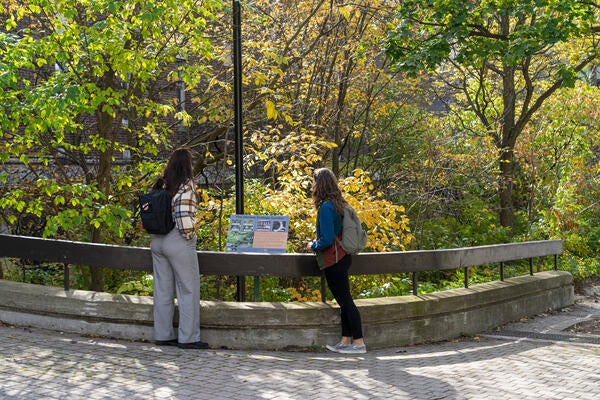 Two students surrounded by trees reading a plaque.  