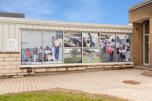 large print photos in the windows of campus building