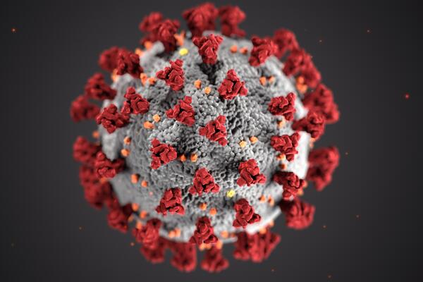 Magnified view of a coronavirus particle