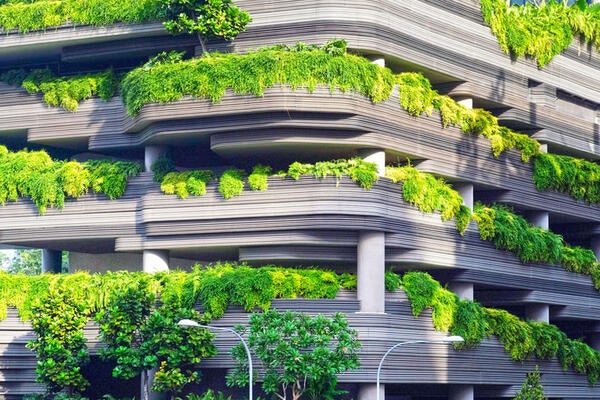 building with greenery 