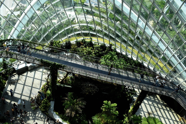 An interior shot of a building with an indoor garden and many windows