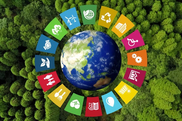 Sustainable development goals.